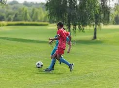 羽毛球涨势,远超黄金,抢购热潮价,问鼎娱乐官网玩家首选,问鼎娱乐官网H5,问鼎娱乐官网游戏平台